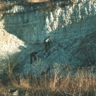 Wierzchowisko